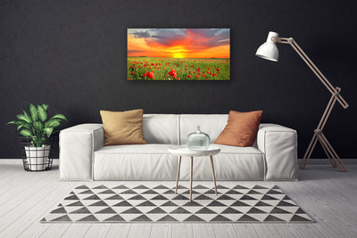 Canvas Wall art Poppies sun nature red green yellow grey