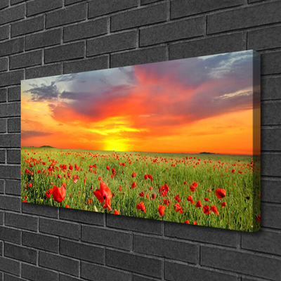 Canvas Wall art Poppies sun nature red green yellow grey