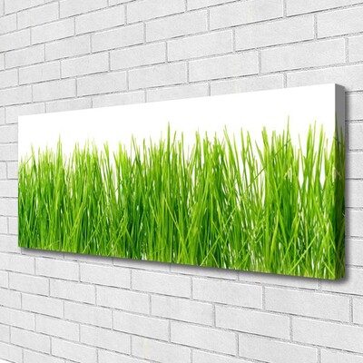 Canvas Wall art Grass nature green