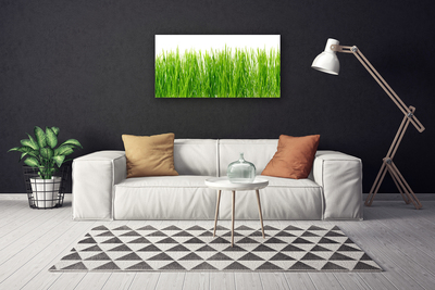 Canvas Wall art Grass nature green