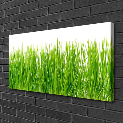 Canvas Wall art Grass nature green