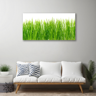 Canvas Wall art Grass nature green