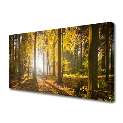 Canvas Wall art Forest nature brown green