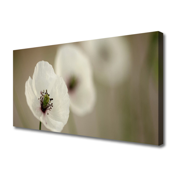 Canvas Wall art Flower floral white