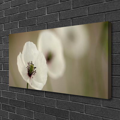 Canvas Wall art Flower floral white