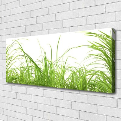 Canvas Wall art Grass nature green