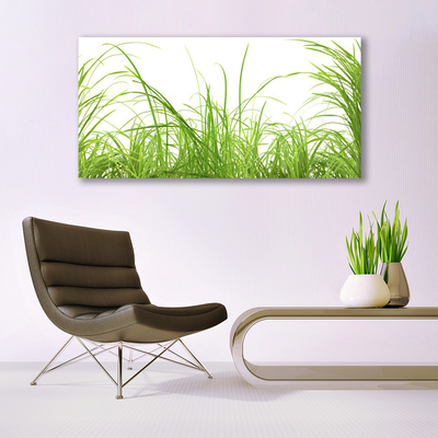 Canvas Wall art Grass nature green