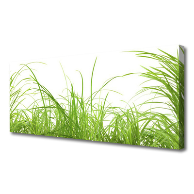 Canvas Wall art Grass nature green