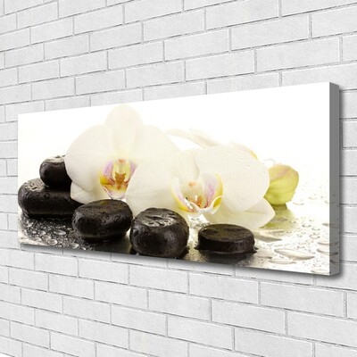 Canvas Wall art Flower stones art white black