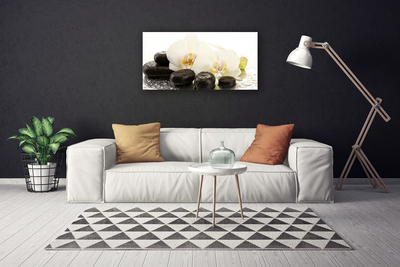 Canvas Wall art Flower stones art white black