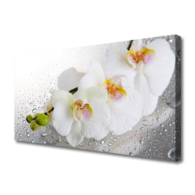 Canvas Wall art Flowers floral white