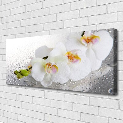 Canvas Wall art Flowers floral white