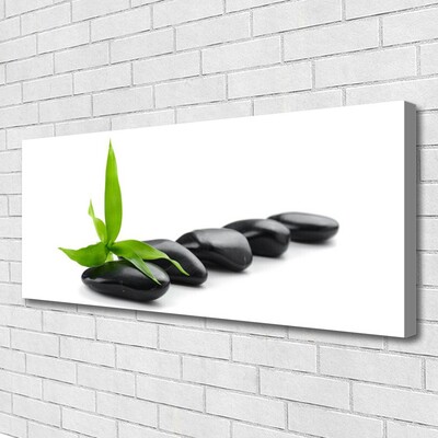 Canvas Wall art Stones leaves art black green