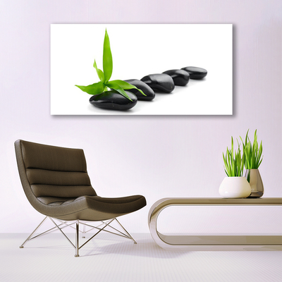 Canvas Wall art Stones leaves art black green