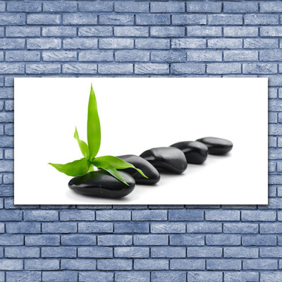 Canvas Wall art Stones leaves art black green