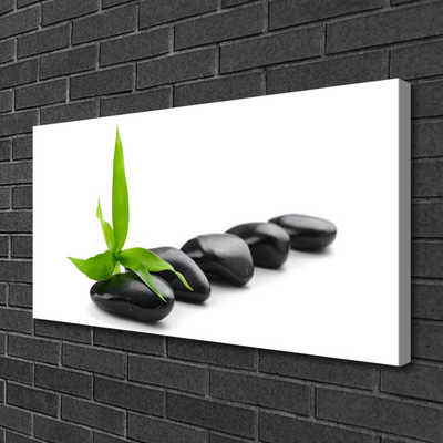 Canvas Wall art Stones leaves art black green