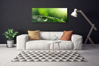 Canvas Wall art Grass dew drops floral green