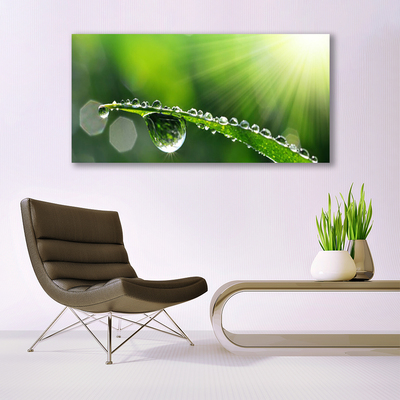 Canvas Wall art Grass dew drops floral green