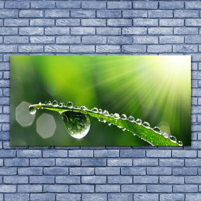 Canvas Wall art Grass dew drops floral green