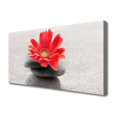 Canvas Wall art Flower stones art orange grey