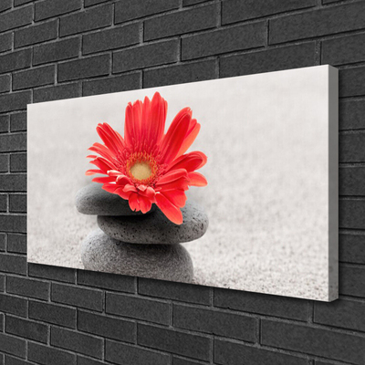 Canvas Wall art Flower stones art orange grey