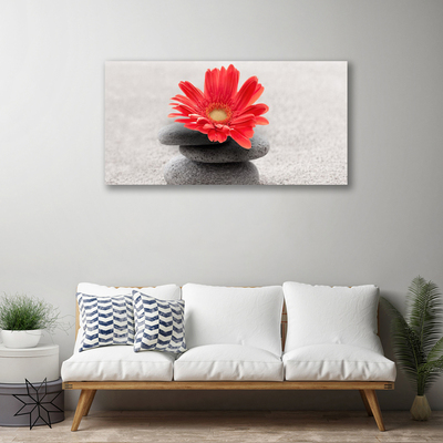 Canvas Wall art Flower stones art orange grey