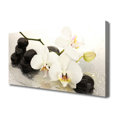 Canvas Wall art Flower stones art white black