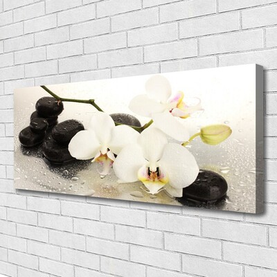 Canvas Wall art Flower stones art white black