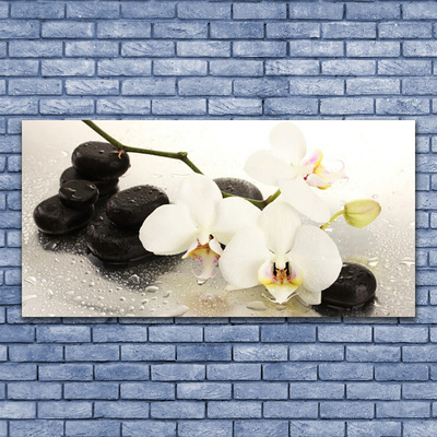 Canvas Wall art Flower stones art white black