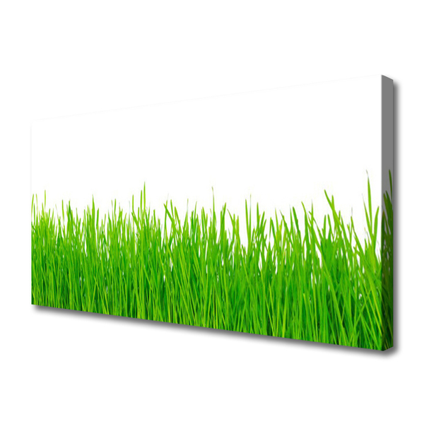 Canvas Wall art Weed nature green