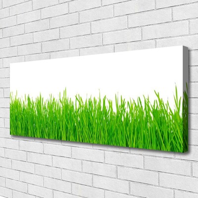 Canvas Wall art Weed nature green