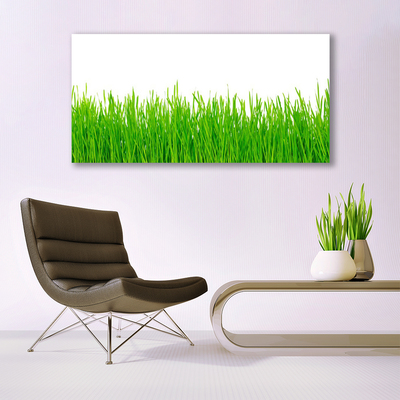 Canvas Wall art Weed nature green