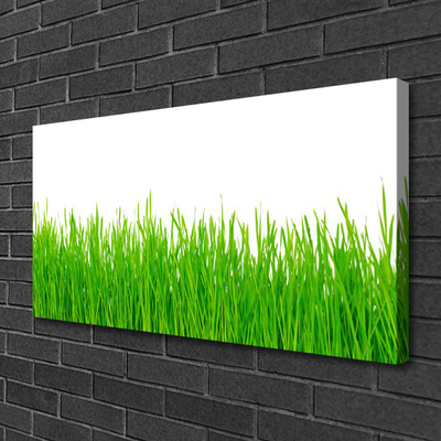 Canvas Wall art Weed nature green