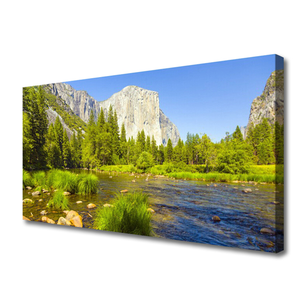 Canvas Wall art Lake mountain forest nature blue green grey