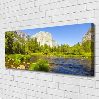 Canvas Wall art Lake mountain forest nature blue green grey