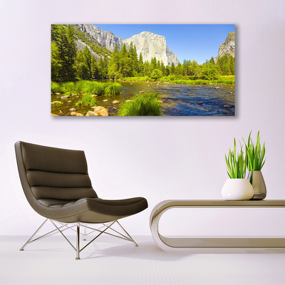 Canvas Wall art Lake mountain forest nature blue green grey