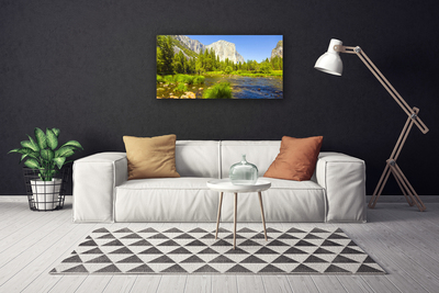 Canvas Wall art Lake mountain forest nature blue green grey