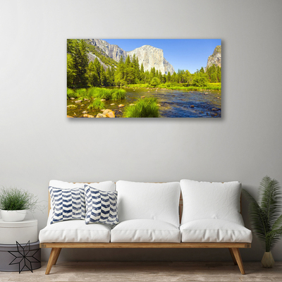 Canvas Wall art Lake mountain forest nature blue green grey