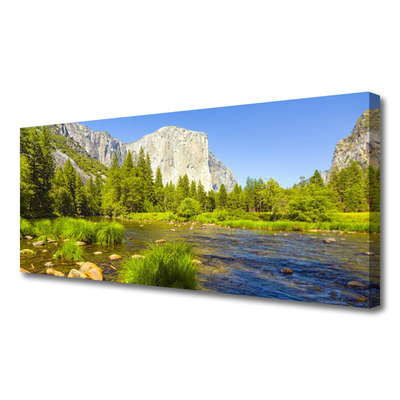 Canvas Wall art Lake mountain forest nature blue green grey