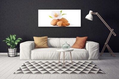 Canvas Wall art Flower pistachios floral white brown