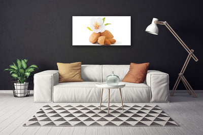 Canvas Wall art Flower pistachios floral white brown