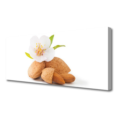 Canvas Wall art Flower pistachios floral white brown