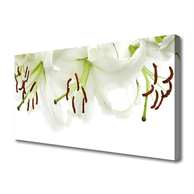 Canvas Wall art Flowers floral white green brown