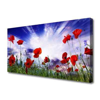 Canvas Wall art Poppies nature red green purple white