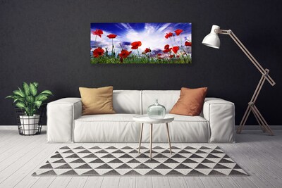 Canvas Wall art Poppies nature red green purple white