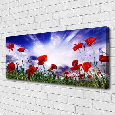 Canvas Wall art Poppies nature red green purple white