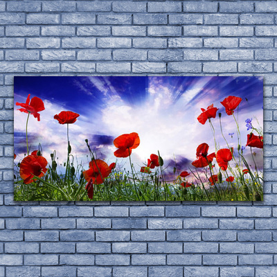 Canvas Wall art Poppies nature red green purple white