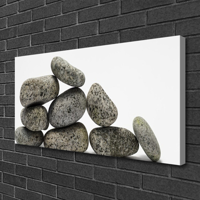 Canvas Wall art Stones art grey