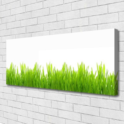 Canvas Wall art Weed nature green