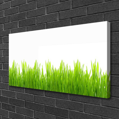 Canvas Wall art Weed nature green